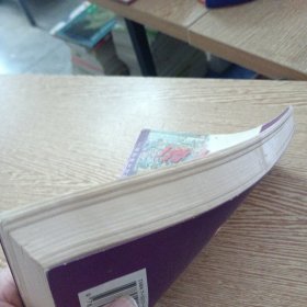 增长的痛苦:通过规范管理战胜企业增长中的危机——bb3