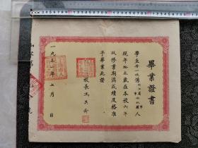 1951年 毕业证书 上海市北 四川路中小学 校长 冯其舜   品相尺寸如图