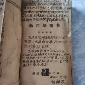 新哲学辞典