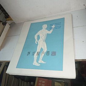 针灸经穴图+7张挂图
