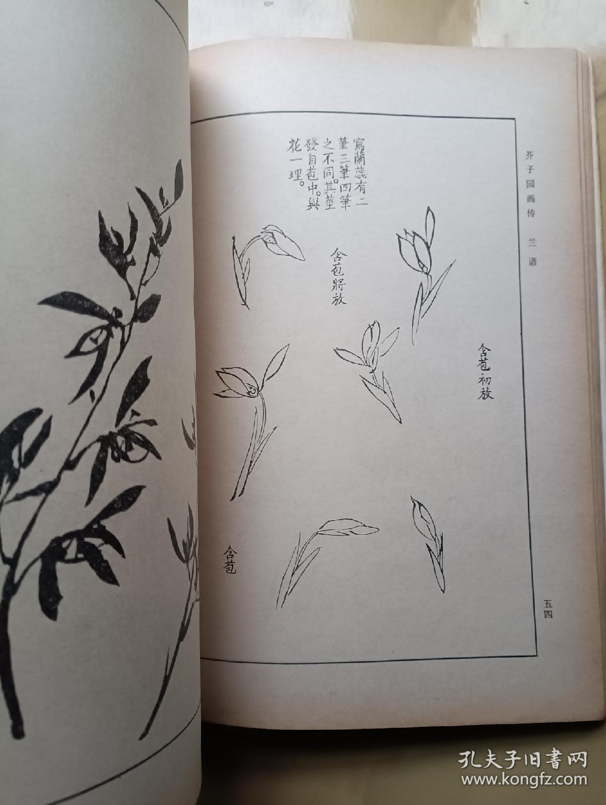 点击查看原图 芥子园画传 第二集、第三集