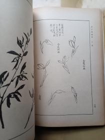芥子园画传 第二集、第三集