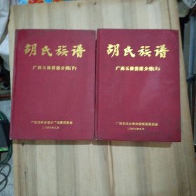 胡氏族谱 广西玉林贵港分谱（上下）