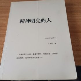 精神明亮的人：王开岭散文随笔自选集