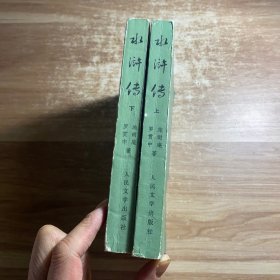 中国古典文学读本丛书：水浒传 上下册 少个中册