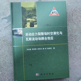 采动应力裂隙场时空演化与瓦斯流动场耦合效应