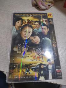 电视连续剧DVD光盘 晚婚 2DVD