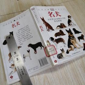 DK名犬：全世界300多种名犬的彩色图鉴  馆藏书，实物拍图供参考