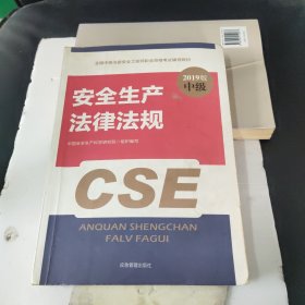 注册安全工程师2019教材安全生产法律法规全国中级注册安全工程师职业资格考试辅导教材2019版