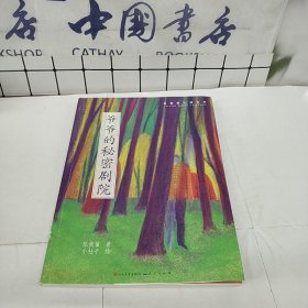 爷爷的秘密剧院.