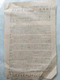 1955年湖南中学工作计划