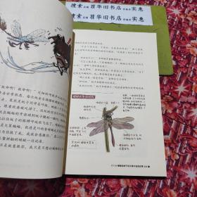 酷虫学校4.非同一般的飞虫班