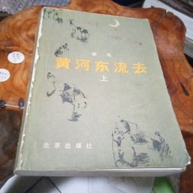 黄河东流去(上)