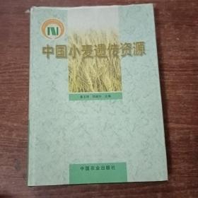 中国小麦遗传资源