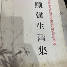 顾建生画集