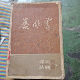 暴风雪-译文丛刊