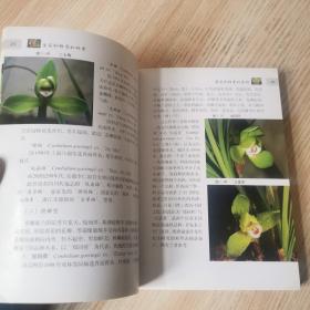 兰花栽培实用技法 安徽科学技术出版