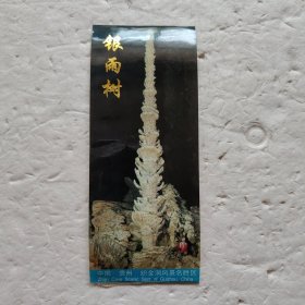 中国.贵州.织金洞风景名胜区 银雨树
