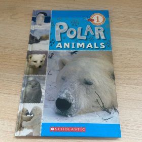 PolarAnimals(POB)(LEVEL1)极地动物