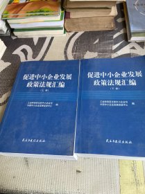 促进中小企业发展政策法规汇编 上下册