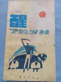 1989年1版1印 王松青《醒了的乡村》32开