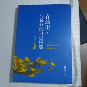 在这里，与最好的自己相遇 正版塑封