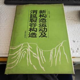 新构造运动及渭延裂谷构造