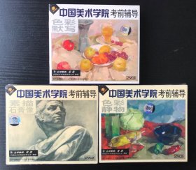 中国美术学院考前辅导 色彩静物 素描石膏像 色彩默写（6VCD)