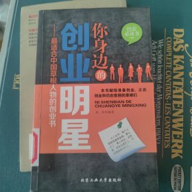 你身边的创业明星：最适合中国草根人物的创业书