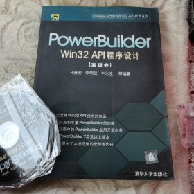 PowerBuilder Win32 API程序设计.高级卷
