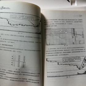 新盘口语言解密与实战/盘口语言系列(2)