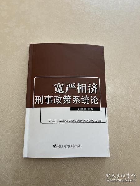 宽严相济刑事政策系统论