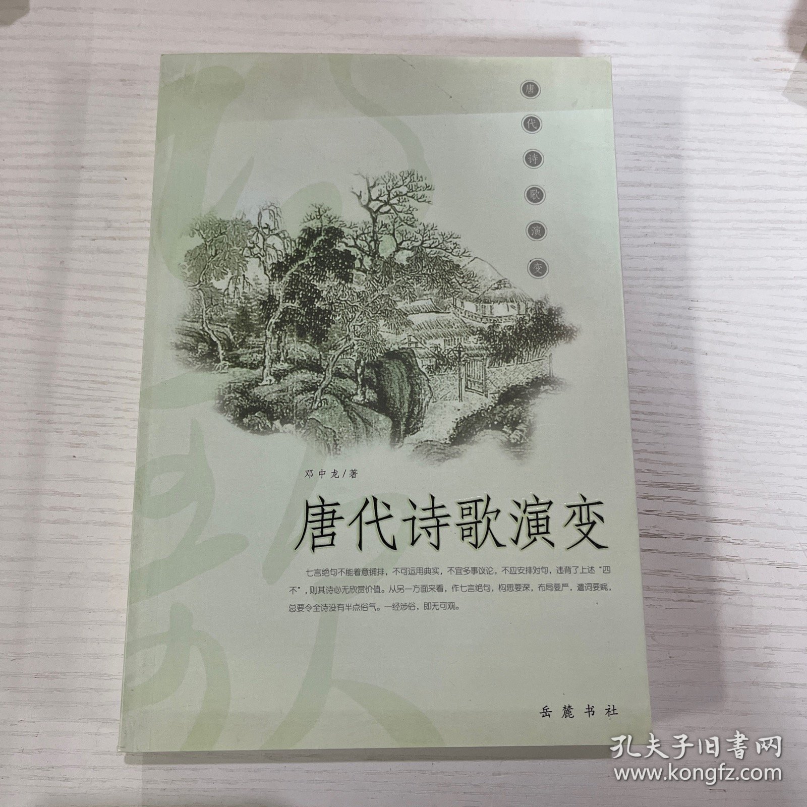 唐代诗歌演变