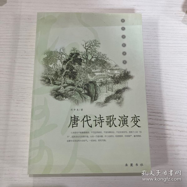 唐代诗歌演变