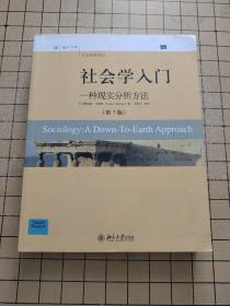 社会学入门：一种现实分析方法