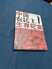 中国农民工生存纪实