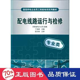 基层供电企业员工岗前培训系列教材 配电线路运行与检修 水利电力 河南省电力公司组编，丁旭峰主编，梁文博审 新华正版