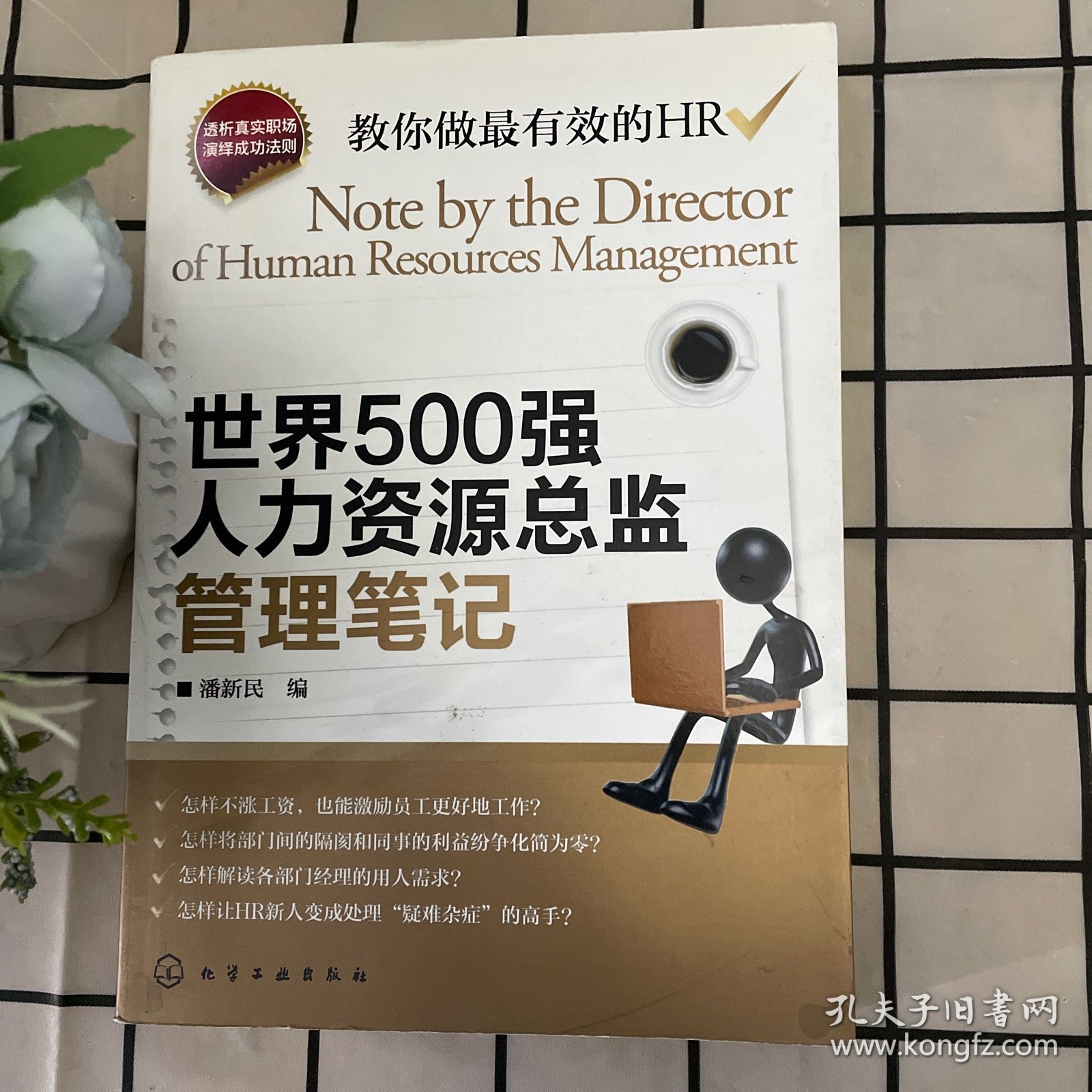世界500强人力资源总监管理笔记：HR眼中的真实职场 教你洞悉职场智慧