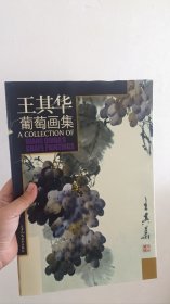 王其华葡萄画集