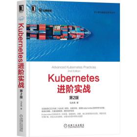 Kubernetes进阶实战（第2版）