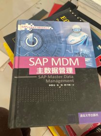 SAP MDM 主数据管理