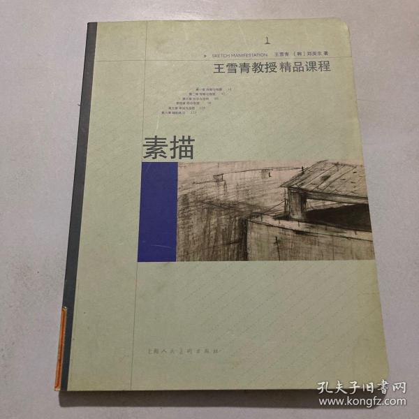 王雪青教授精品课程1：素描