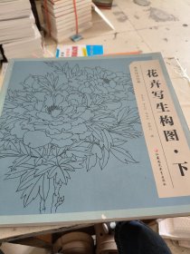 美术技法经典系列：花卉写生构图（下）