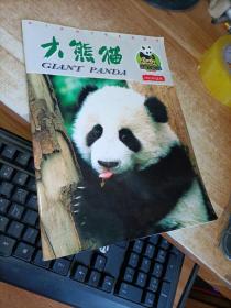 大熊猫  2005年试刊
