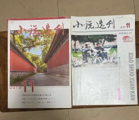 小说选刊（2014-2019年共40本）