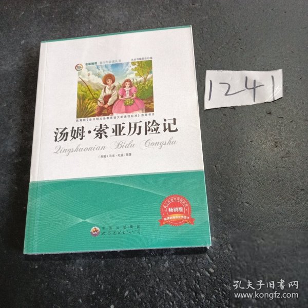 青少年必读丛书：汤姆·索伊历险记