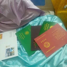 4张带公章学分证书十桂林市人民政府信封保真出售3