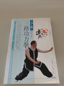 少林三路功力拳