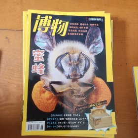 博物 2022年第06期 蜜蜂