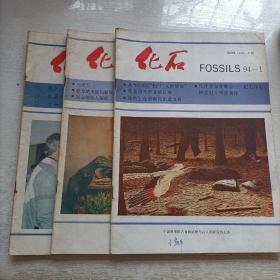 化石 （1994/1/2/3/三期合售）
